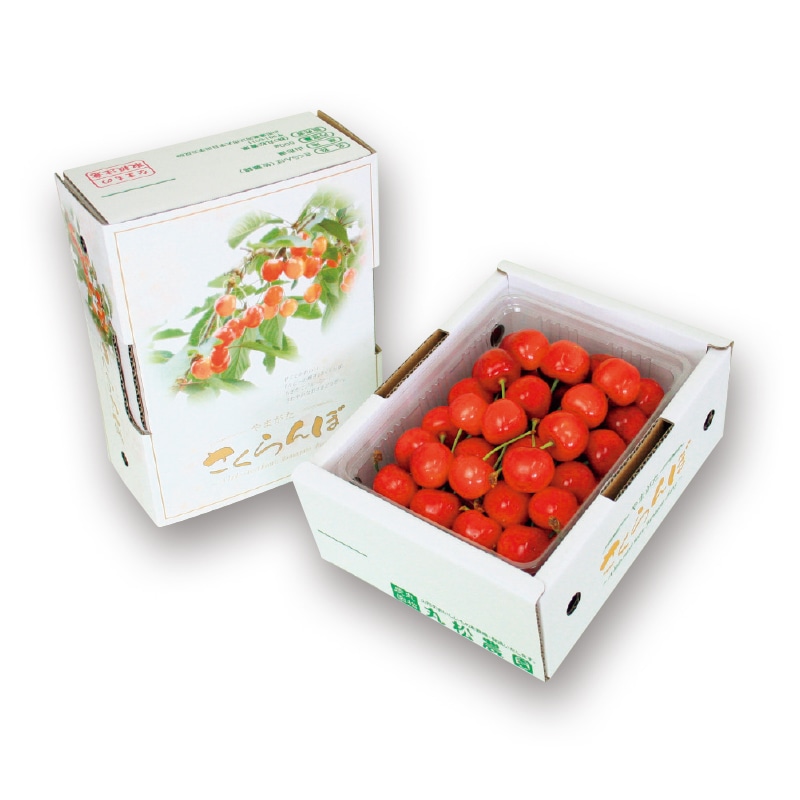 【株式会社丸松青果】佐藤錦 500g(全国合計販売予定数:500個)※販売開始:5/26(火)9時〜 ※2026年郵便局のさくらんぼ