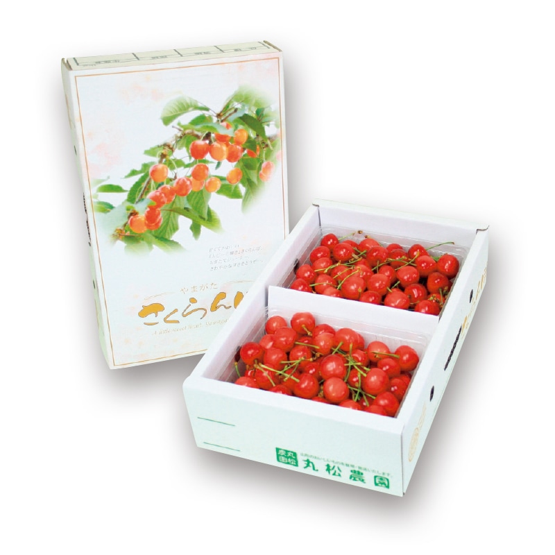 【株式会社丸松青果】佐藤錦 500g×2(全国合計販売予定数:500個)※販売開始:5/26(火)9時〜 ※2026年郵便局のさくらんぼ