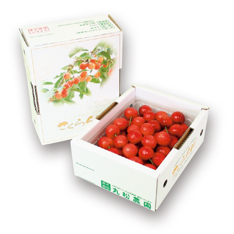 【株式会社丸松青果】紅秀峰 500g(全国合計販売予定数:500個)※販売開始:5/26(火)9時〜 ※2026年郵便局のさくらんぼ