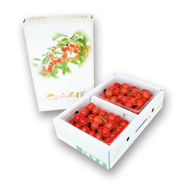 【株式会社丸松青果】紅秀峰 500g×2(全国合計販売予定数:500個)※販売開始:5/26(火)9時〜 ※2026年郵便局のさくらんぼ