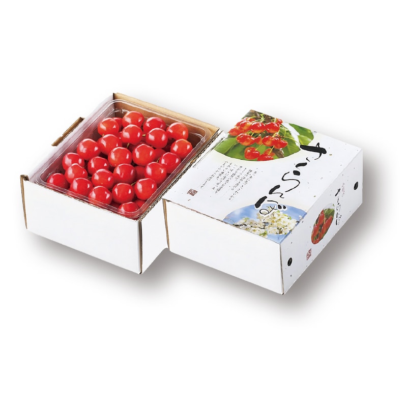 【株式会社ジェイエイてんどうフーズ】紅秀峰 500g(全国合計販売予定数:400個)※販売開始:5/26(火)9時〜 ※2026年郵便局のさくらんぼ