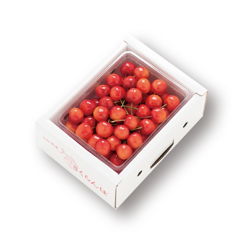 【有限会社喜多屋果実店】佐藤錦 500g(全国合計販売予定数:500個)※販売開始:5/26(火)9時〜 ※2026年郵便局のさくらんぼ