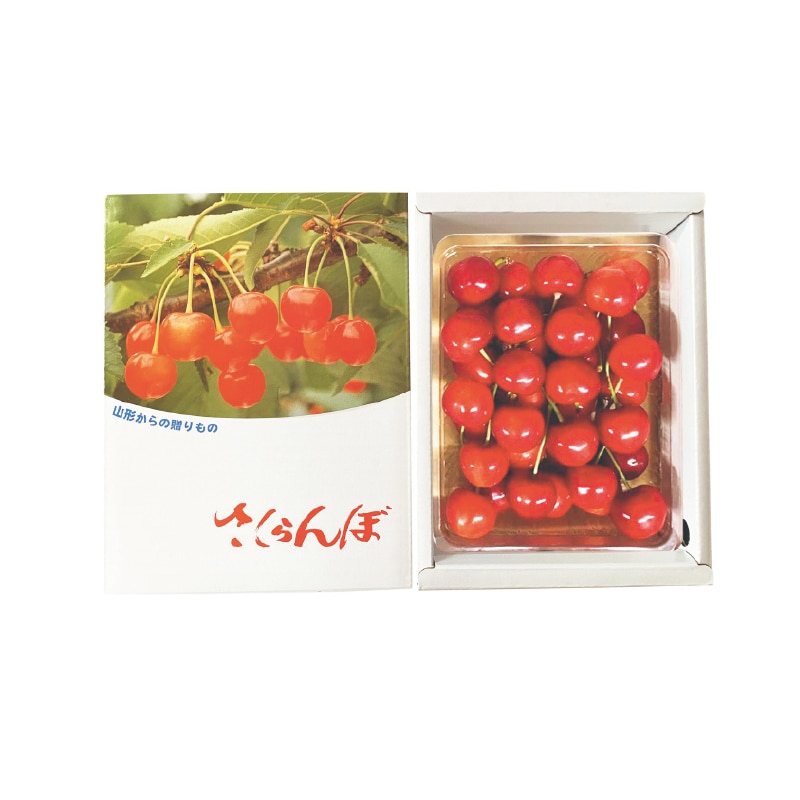 【寒河江浩一】佐藤錦 500g(全国合計販売予定数:400個)※販売開始:5/26(火)9時〜 ※2026年郵便局のさくらんぼ