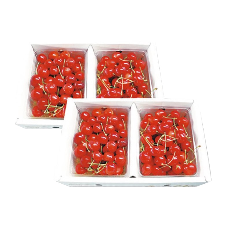 【寒河江浩一】佐藤錦 500g×4(全国合計販売予定数:150個)※販売開始:5/26(火)9時〜 ※2026年郵便局のさくらんぼ