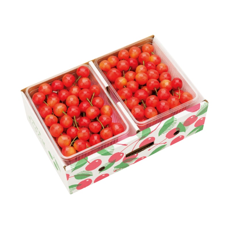 【株式会社東根農産センター】佐藤錦 500g×2(全国合計販売予定数:1000個)※販売開始:5/26(火)9時〜 ※2026年郵便局のさくらんぼ