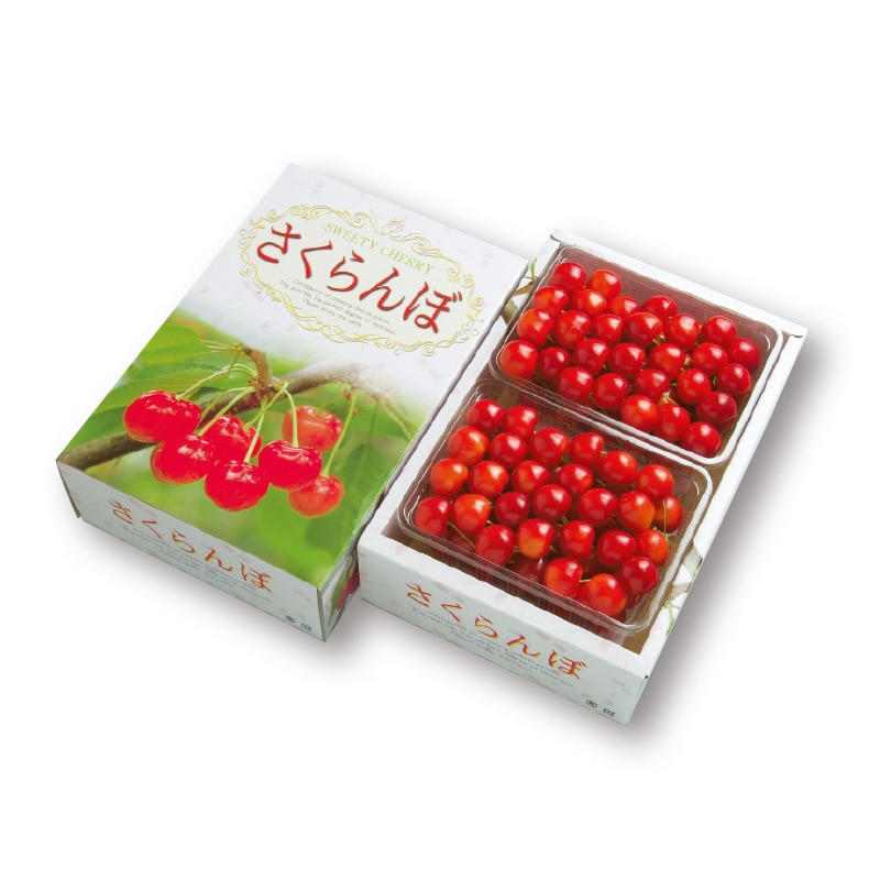 【株式会社マルマンフーズ】佐藤錦 500g×2(全国合計販売予定数:400個)※販売開始:5/26(火)9時〜 ※2026年郵便局のさくらんぼ
