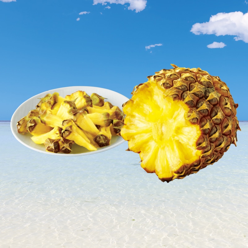 ���ꌧ�Y�������{�S�[���p�C��