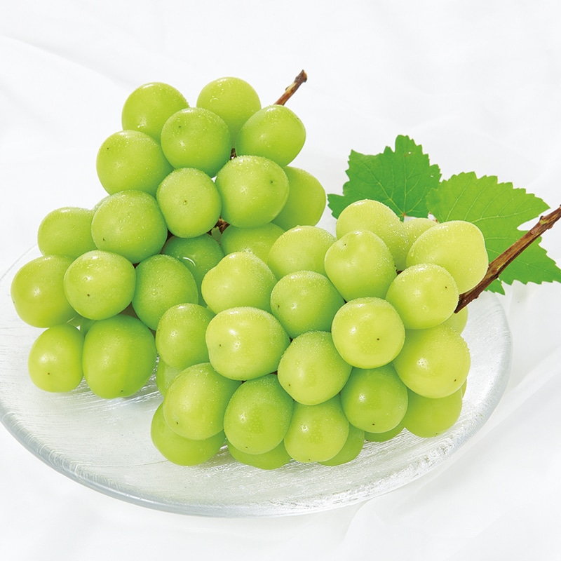 �V���C���}�X�J�b�g�@�X�O�O��