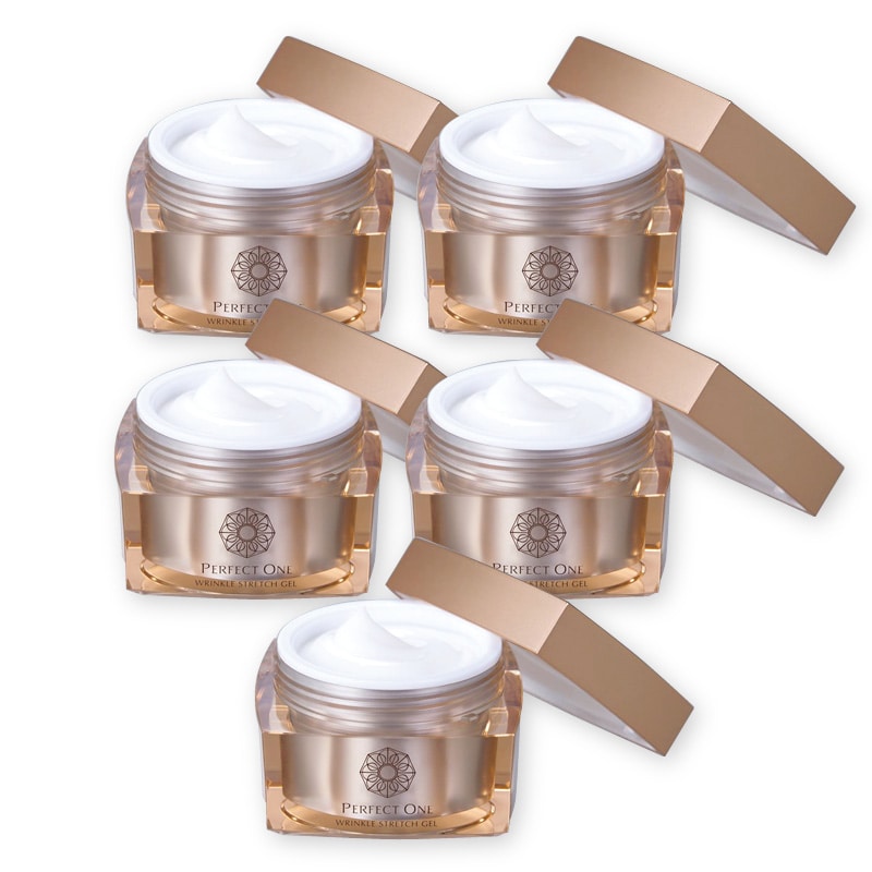 �q�p�[�t�F�N�g�����r��p�����N���X�g���b�`�W�F���@�T��