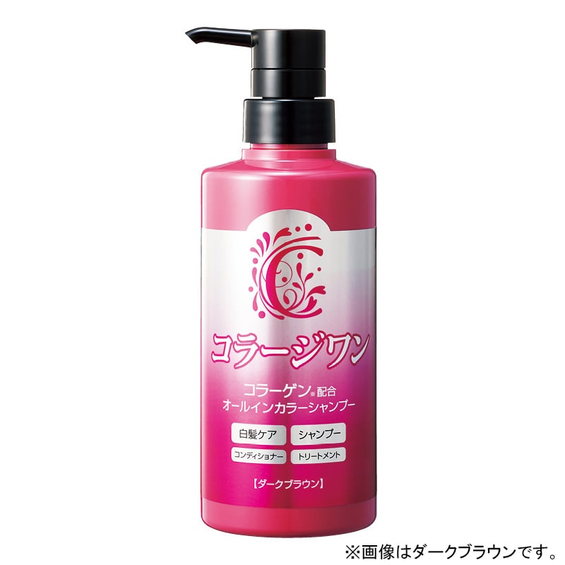 �q�R���[�W�����r�I�[���C�������J���[�V�����v�[�@�i�`�������u���b�N