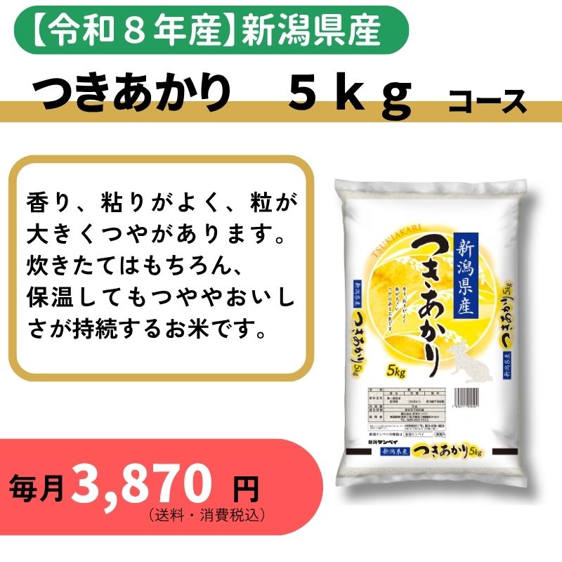 �X�֋ǂ̂v�d�a����ց@�y�ߘa�W�N�Y�z�V�����Y��������@�T�����R�[�X