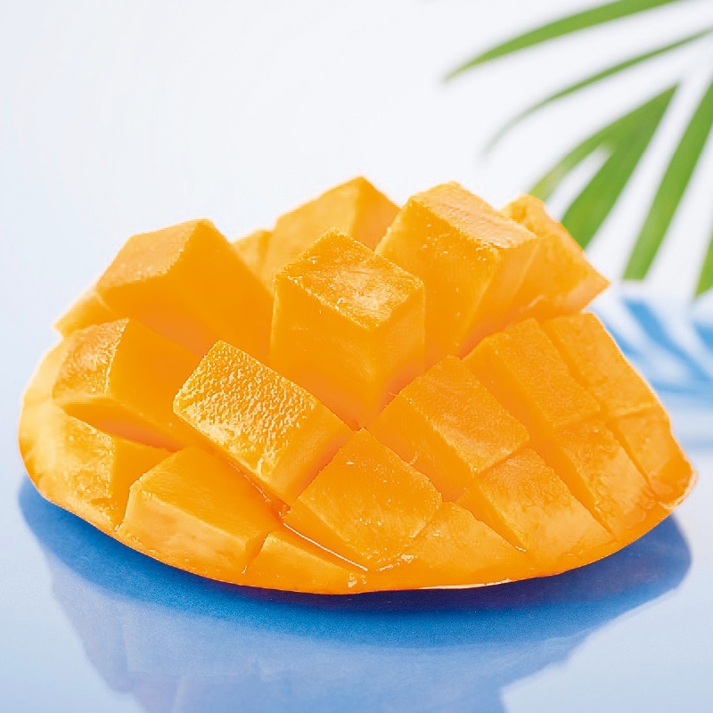 �{�茧�@���s�Y�@�~�j�}���S�[