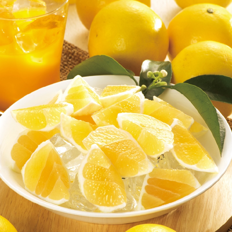 �y������p�z�ď��ā@�R����