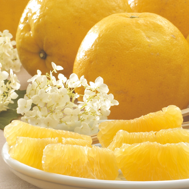 �y������p�z�ĕ��U�@�R����