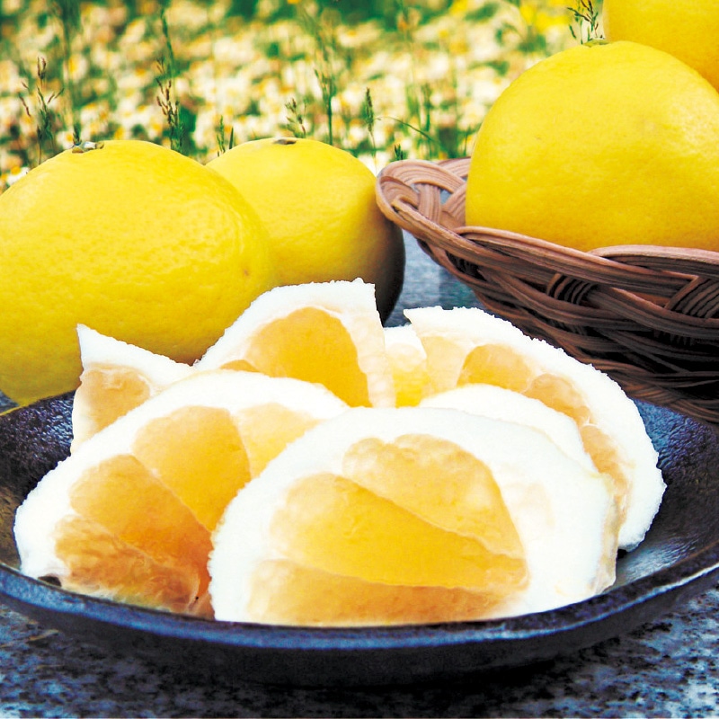 �y������p�z����