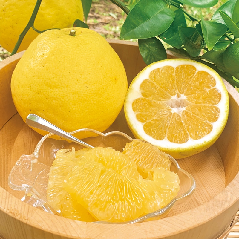 �킯����@�͓��ӊ��@�S�D�T����