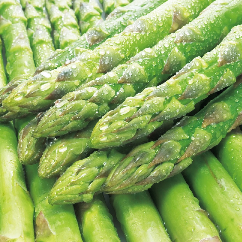 �k�C���Y�@�O���[���A�X�p���@�k�@�W�O�O��