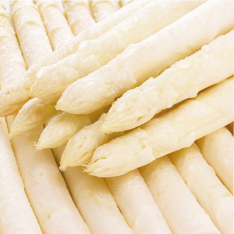 �k�C���Y�@�z���C�g�A�X�p���@�W�O�O��