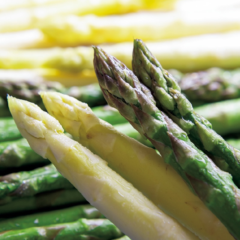 �k�C���Y�@�A�X�p���Q�F�Z�b�g