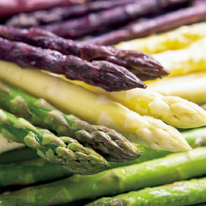 �k�C���Y�@�A�X�p���R�F�Z�b�g