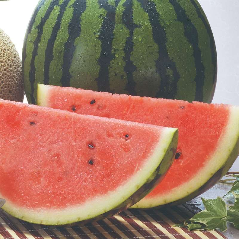 �X�C�J�@�P��