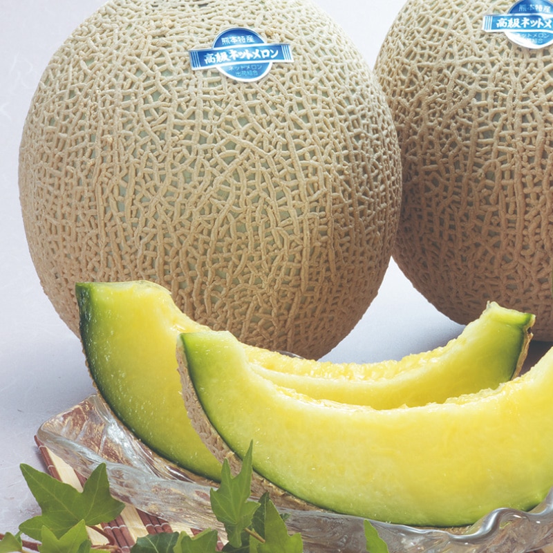 �}�X�N�������@�Q��