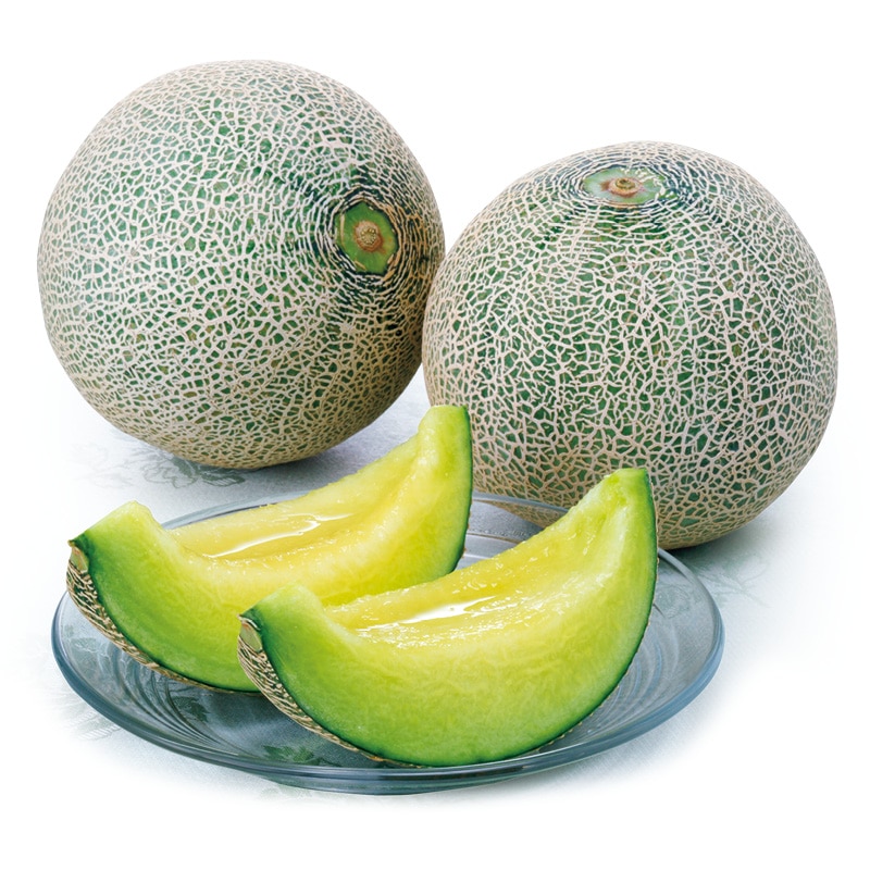 �C�o���L���O�i�������j