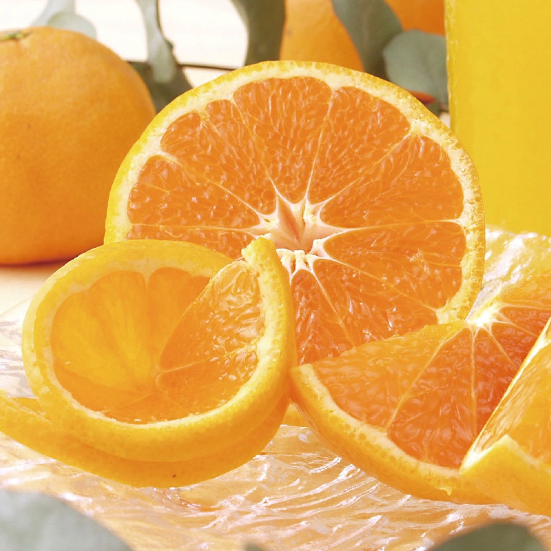 ��]�̓��@�J���}���_����