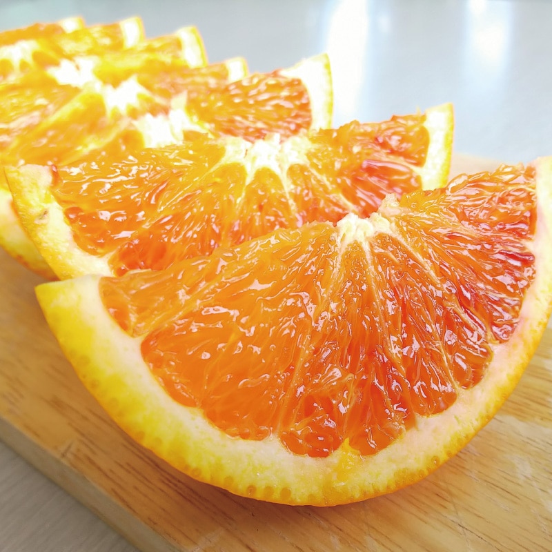 ��]�̓��@�u���b�h�I�����W