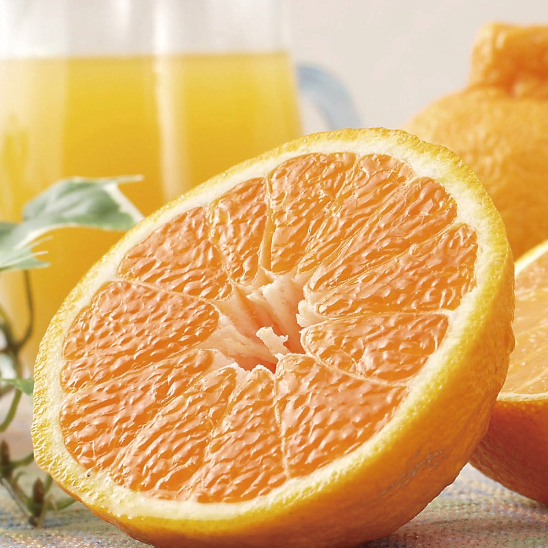 ��]�̓��@���n�s�m��