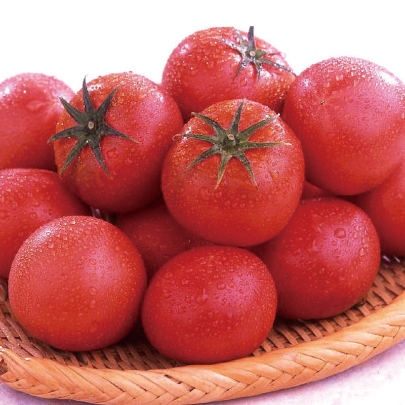 �y���x�W�x�ȏ�I�ʁz�t���[�c�g�}�g