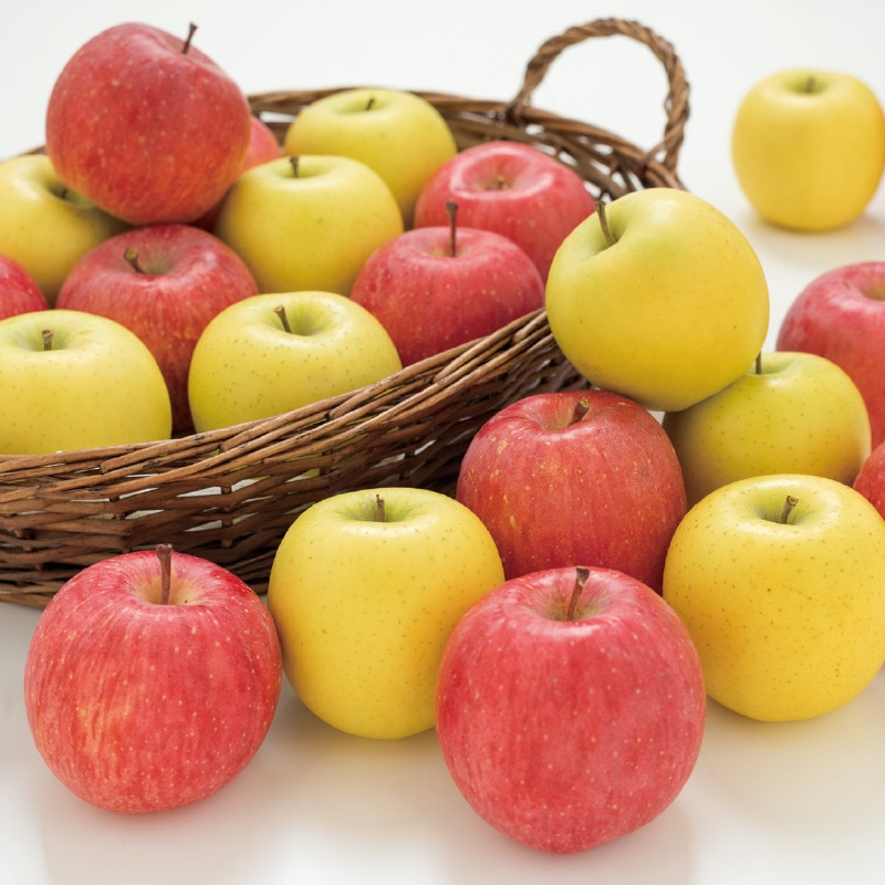 �T���ӂ����͂ӂ��E�V�i�m�S�[���h�@�Q����