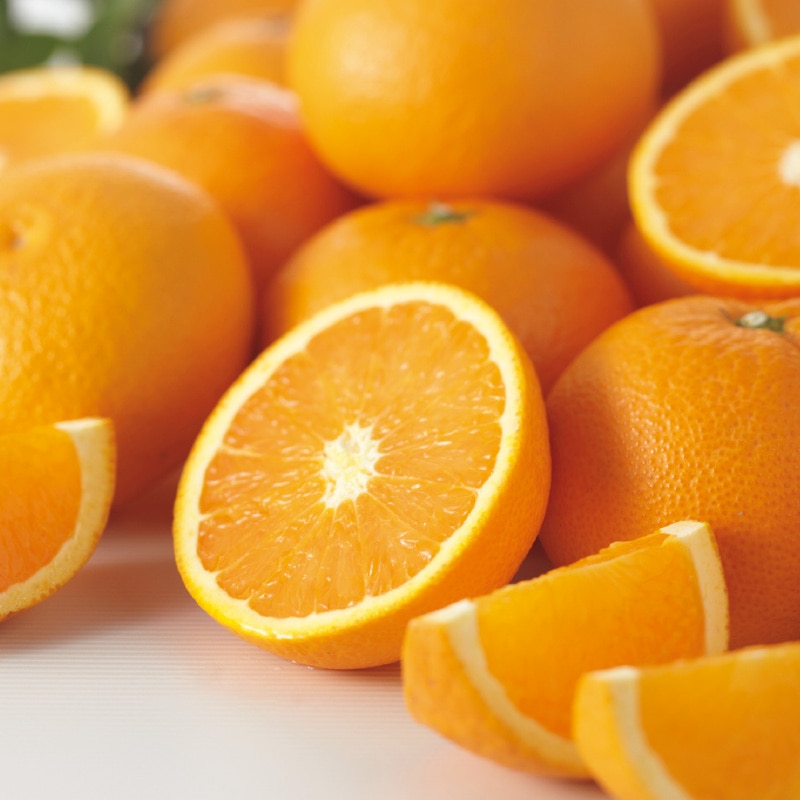 �킯����@�����^���S�[���@�T����