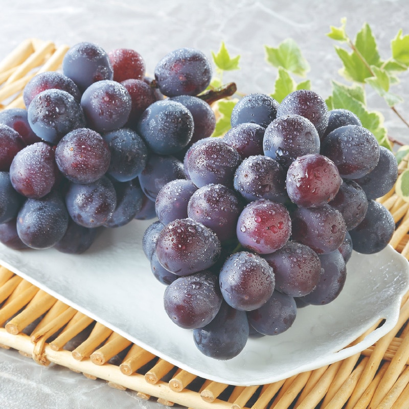 �j���[�s�I�[�l�@�Q�[