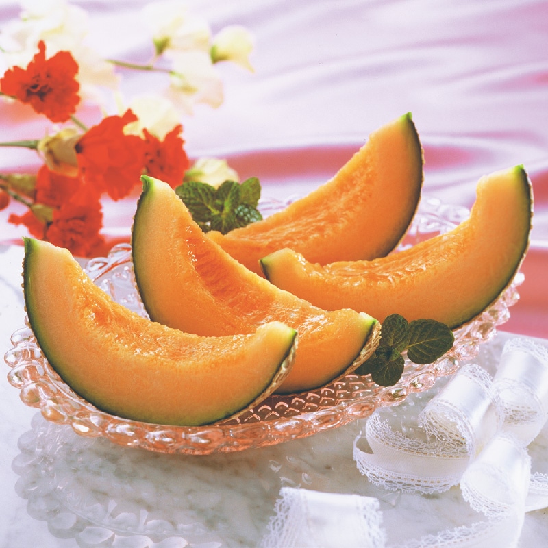 �t�̐ԓ��������@�Q��