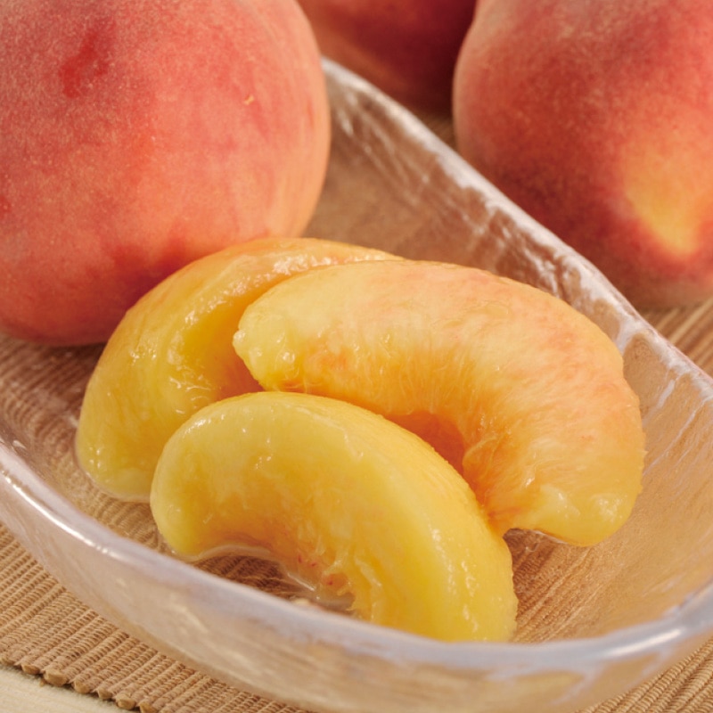 �R�����Y�@�y���ϔ����z�n�E�X��