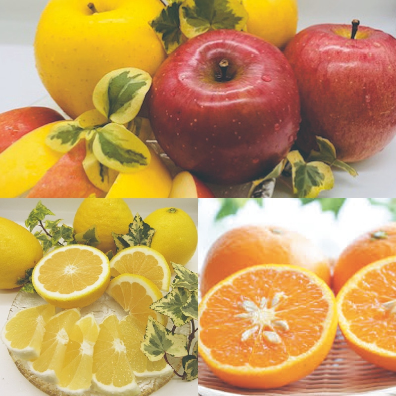 �t���[�c�Q��l����