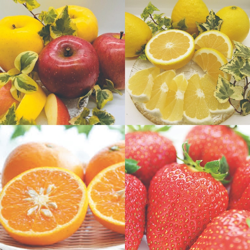 �t���[�c�T��l�����`