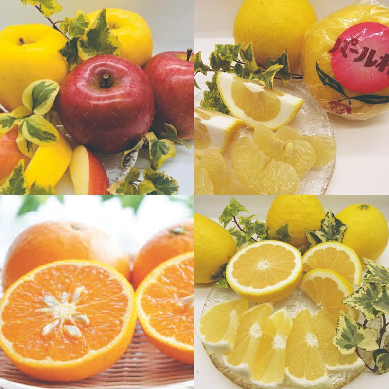 �t���[�c�T��l�����a