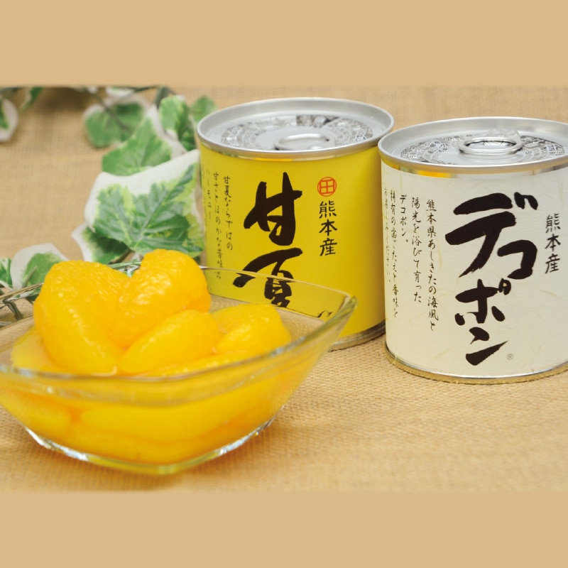 �f�R�|���E�ÉĊʋl�Z�b�g�@�e�T��