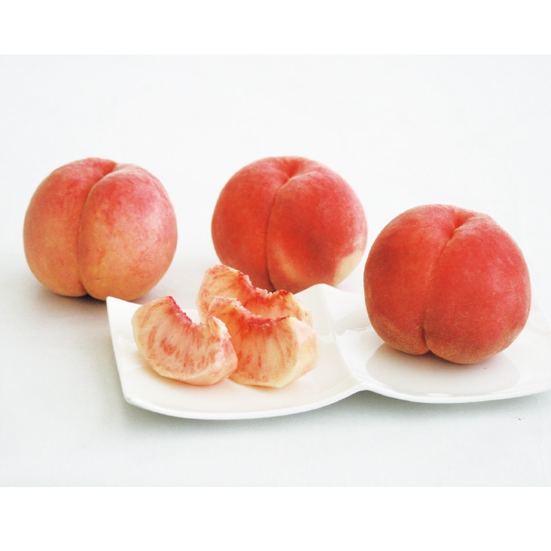 �J���J�����i���ǂ낫�j