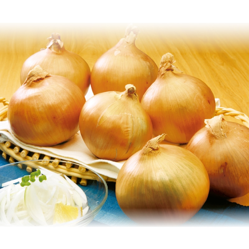 �W�H�����܂˂��R����