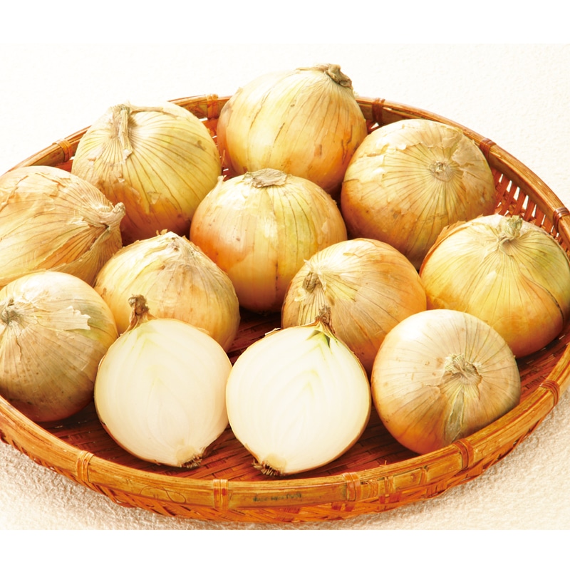 �W�H���������܂˂��R����