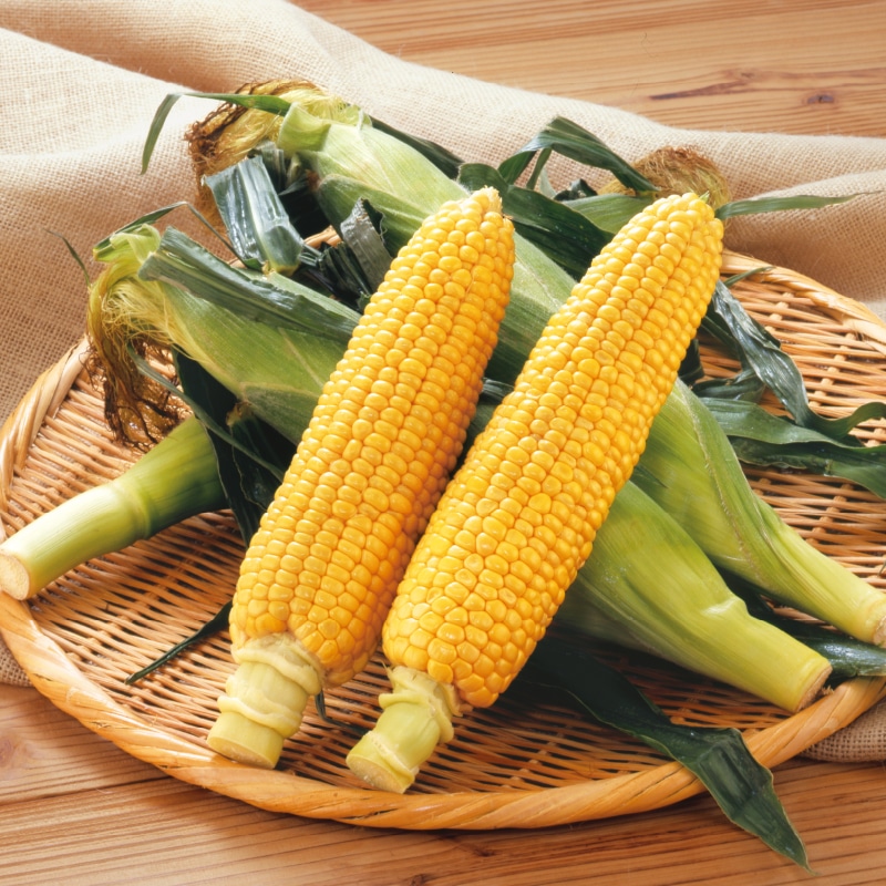 �R�����Y�S�[���h���b�V���i�X�C�[�g�R�[���j