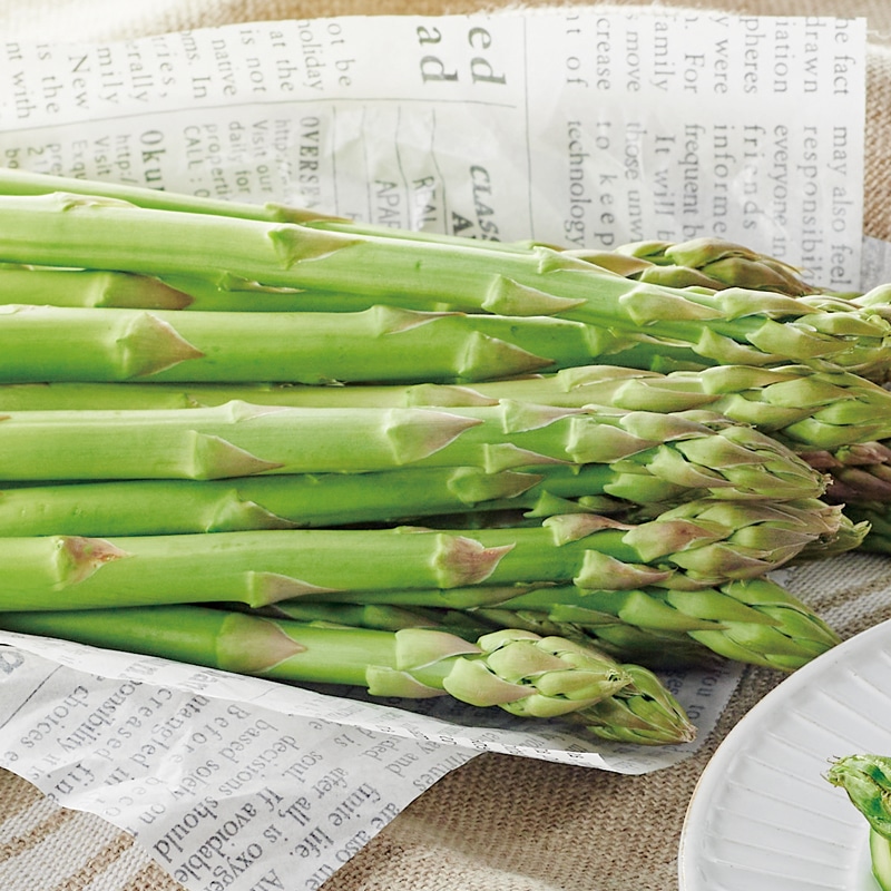 �k�C���Y�O���[���A�X�p���K�X