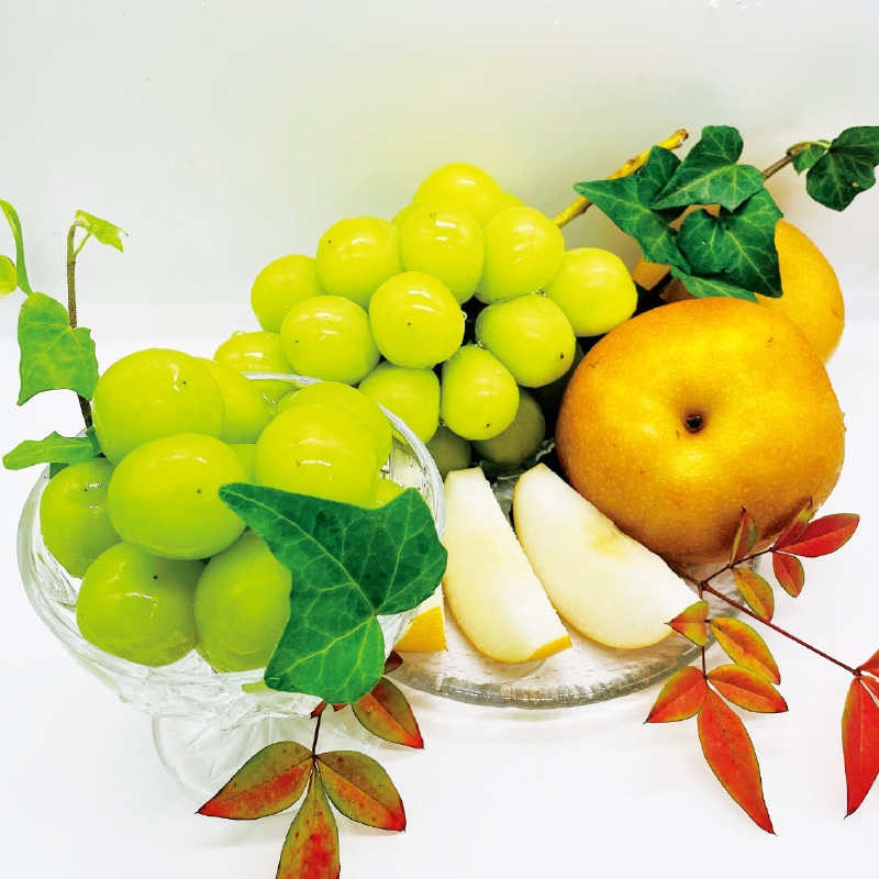 ���쌧�Y�@�V���C���}�X�J�b�g�Ɠ쐅��