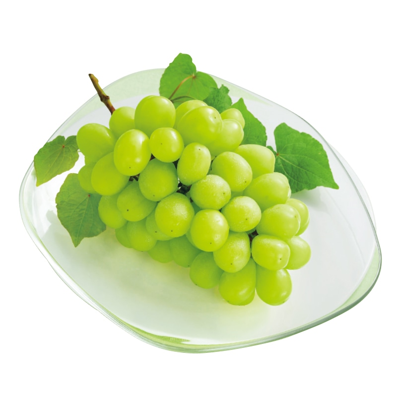 �V���C���}�X�J�b�g