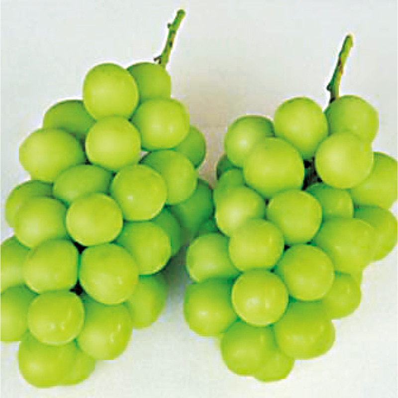 �V���C���}�X�J�b�g