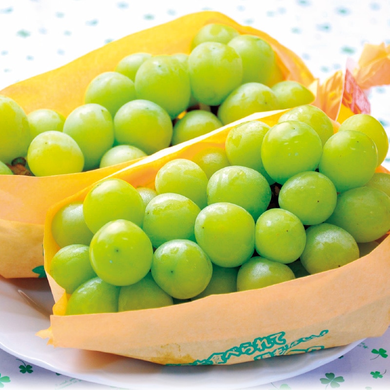 �V���C���}�X�J�b�g