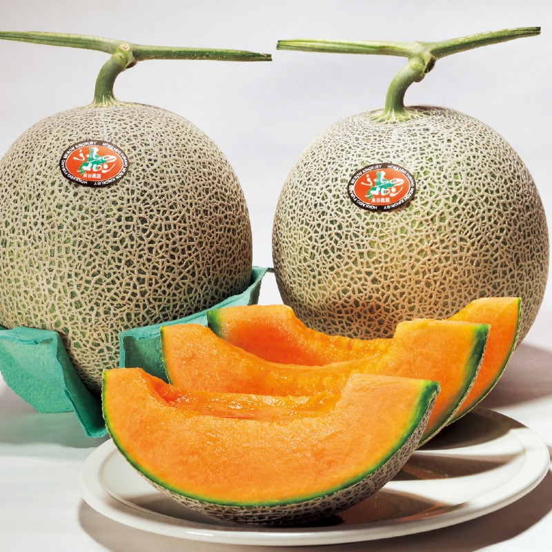 �x�ǖ상�����@�Q�����i�P�j